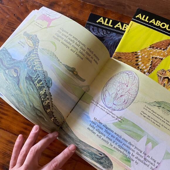 Vintage 90s Scholastic Bundle of 3 All About ... Paperback Books - Picture 3 of 12